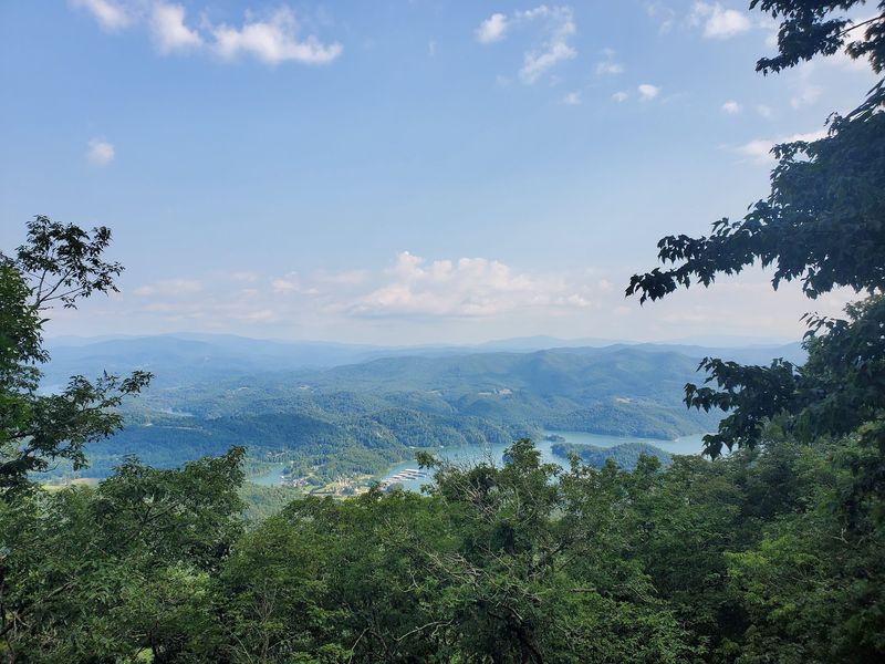 Why the Story of Old Butler Still Fascinates Tennessee Today