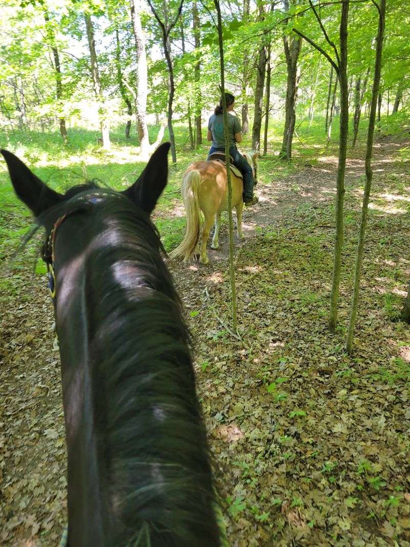 Why the Trails Feel Almost Personal