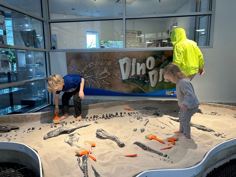 Why the Wonders Center Is Perfect for a Family Day Trip