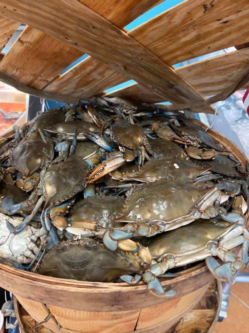 Wild-Caught Fish and Shellfish Fill the Case With Tempting Options Wild-Caught Fish and Shellfish Fill the Case With Tempting Options