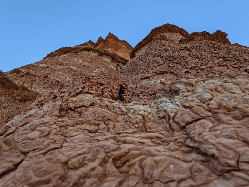 Wildlife And Natural Surprises Along The Way