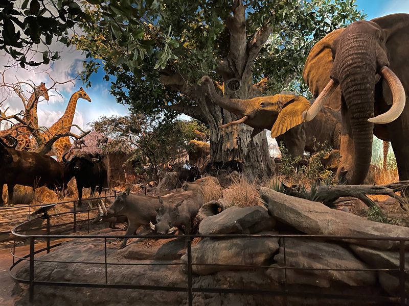 Wildlife Museum Scenes Make the Trip Bigger Wildlife Museum Scenes Make the Trip Bigger