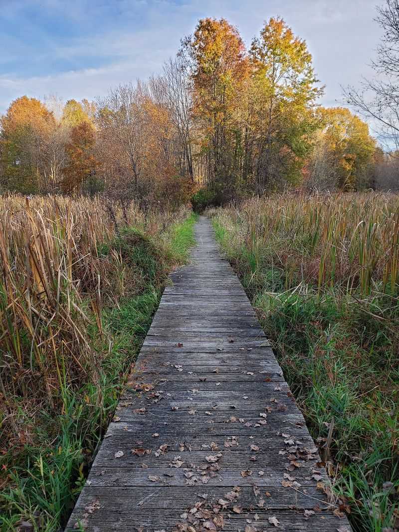 Wildlife Observation Center Trail North - Great Swamp National Wildlife Refuge