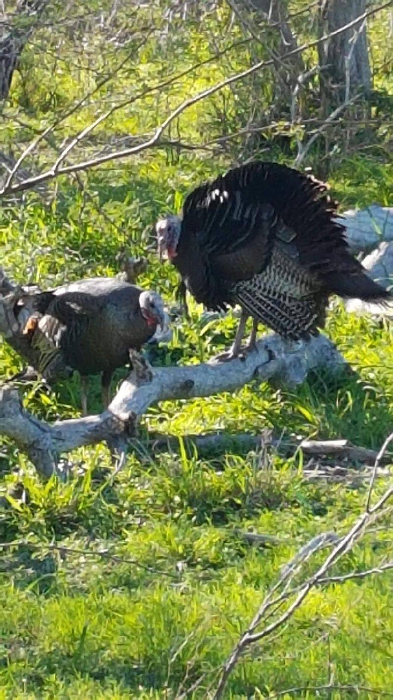 Wildlife Paradise With Over 300 Bird Species
