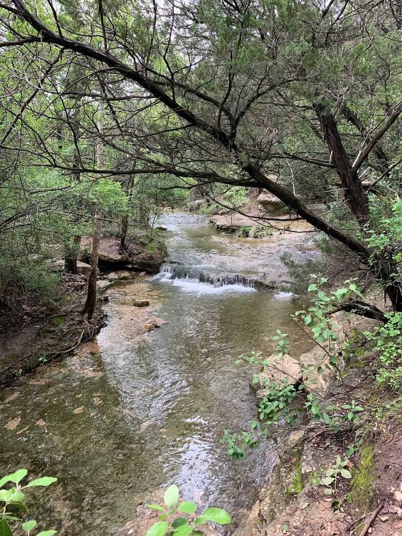 Wildlife Watching Opportunities