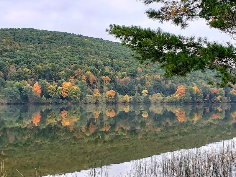 Wildlife and Quiet Moments Make the Forest Feel Alive Wildlife and Quiet Moments Make the Forest Feel Alive