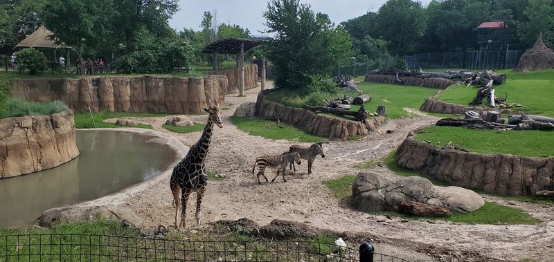 Wilds of Africa Adventure Safari Monorail