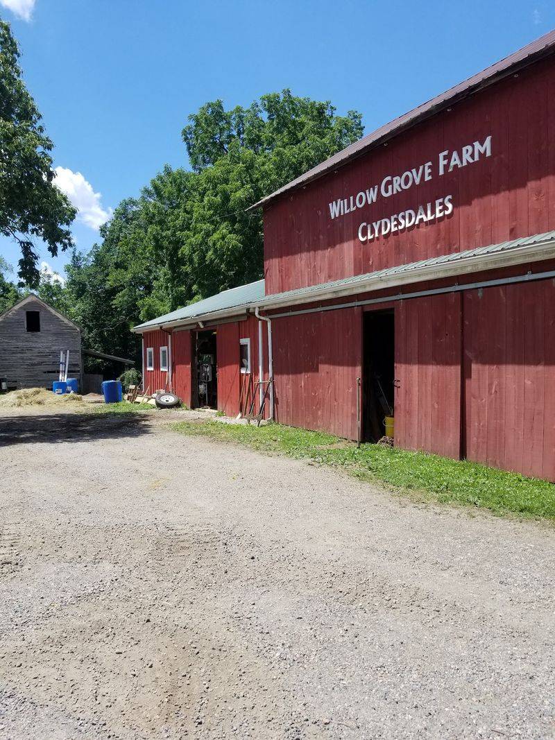 Willow Grove Farm Makes Clydesdale Riding Possible in Long Valley
