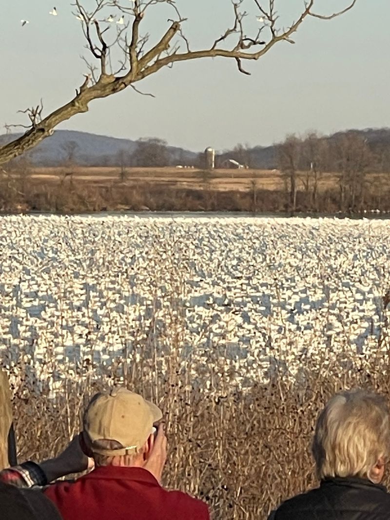 Willow Point Gives Bird Watchers a Front-Row Seat