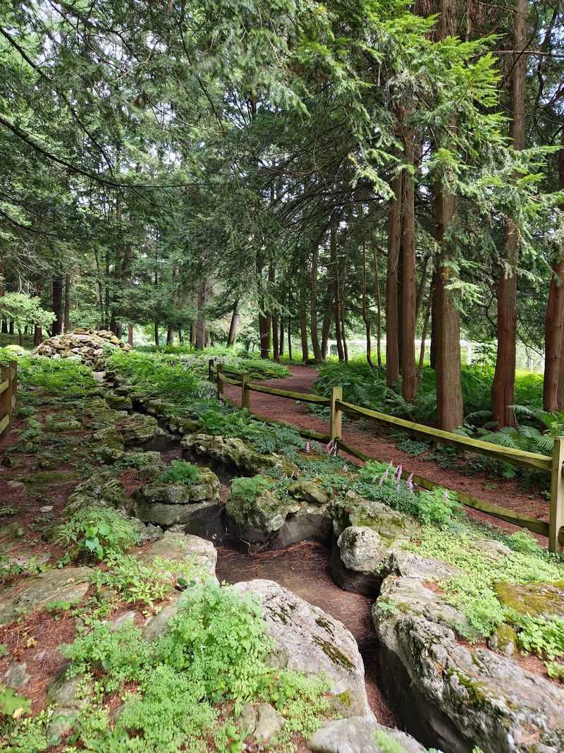 Wooded Paths and Open Lawns Create a Quiet Escape