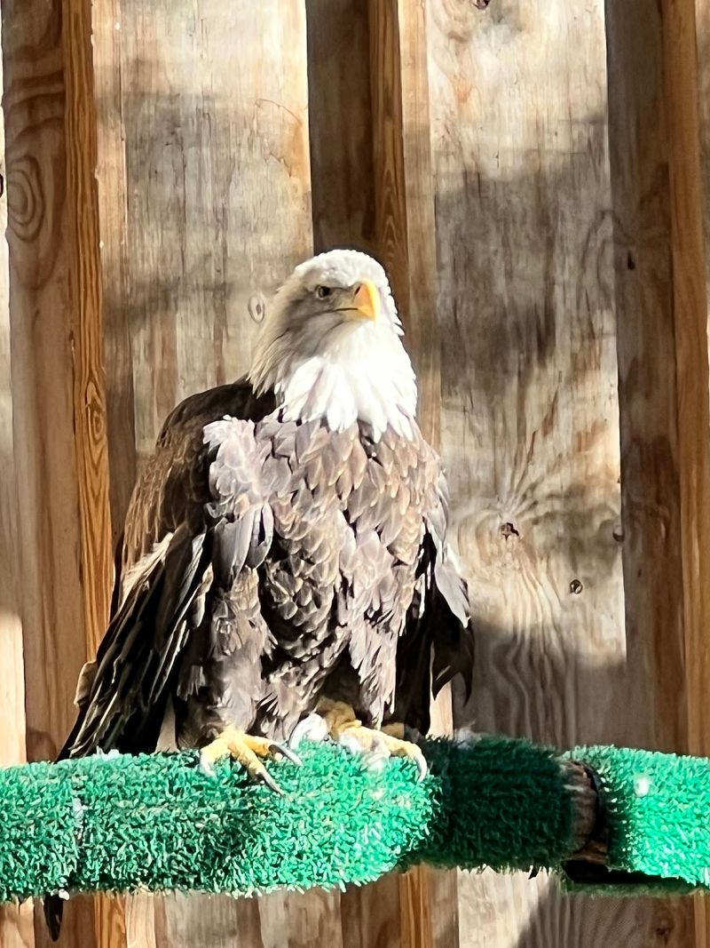 Woodford Cedar Run Wildlife Refuge - Medford