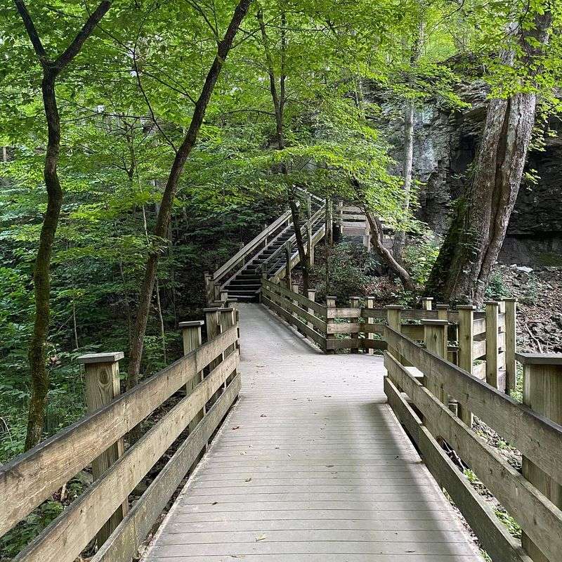 Woodland Escape at Charleston Falls Preserve, Tipp City