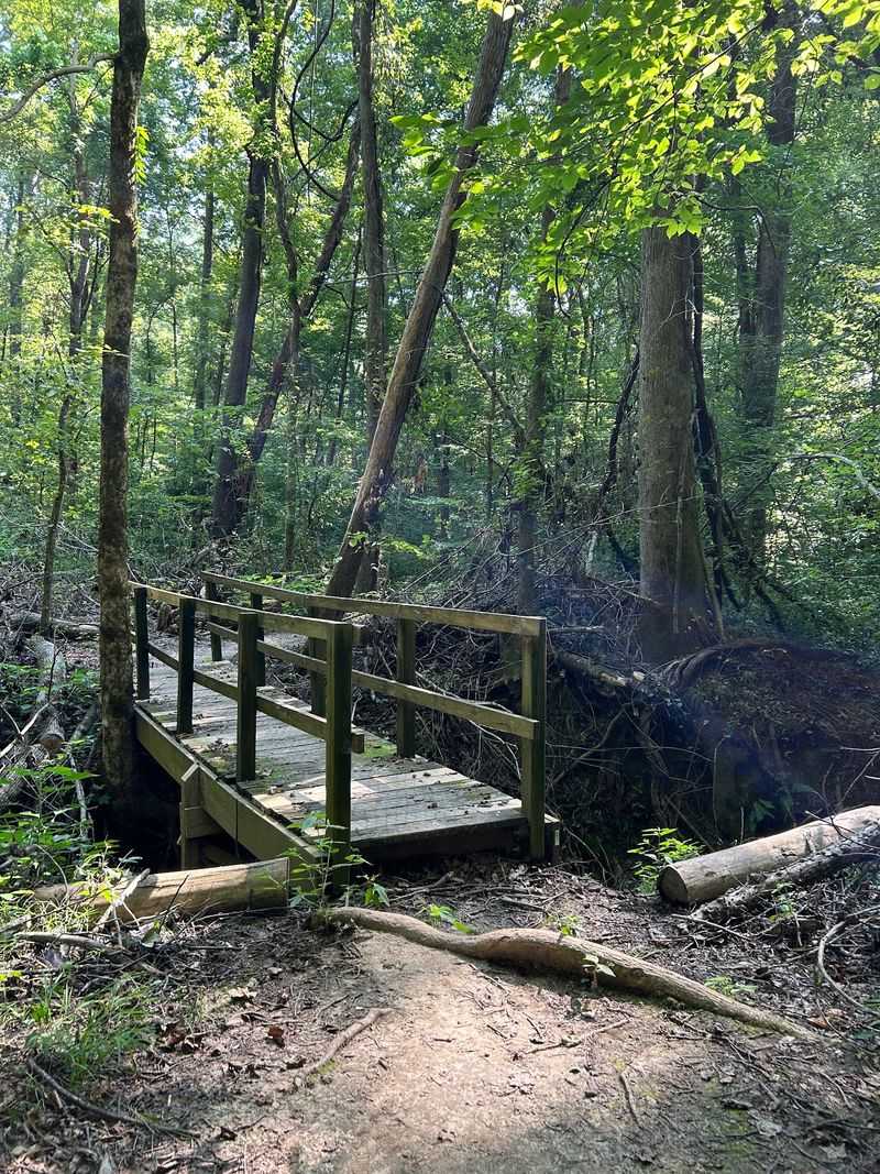 Woodland Trail, Millington Woodland Trail, Millington