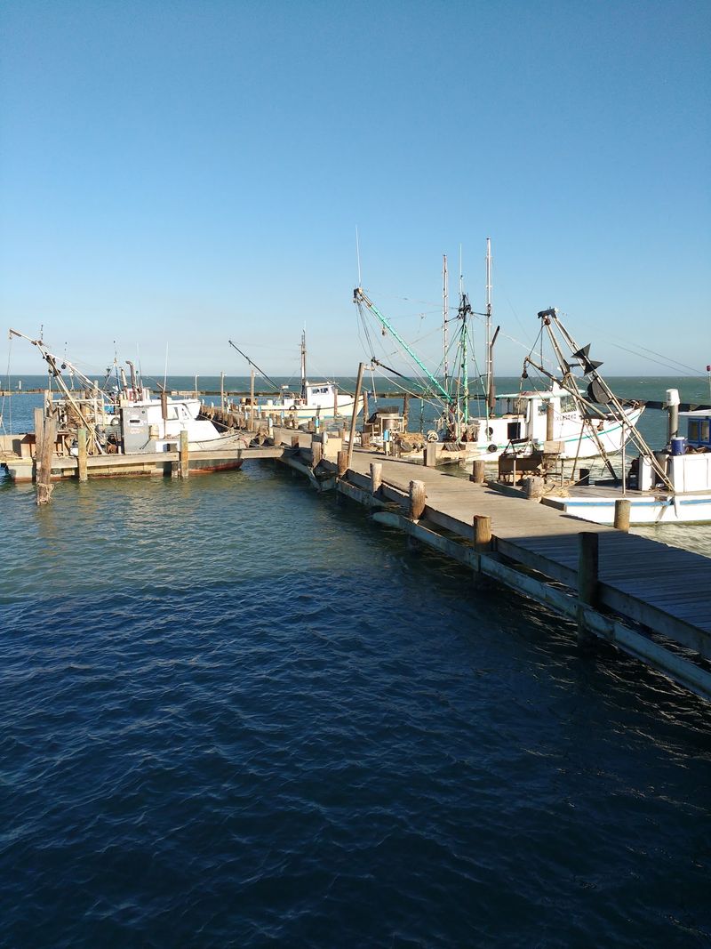 Working Harbor and Fishing Culture Working Harbor and Fishing Culture