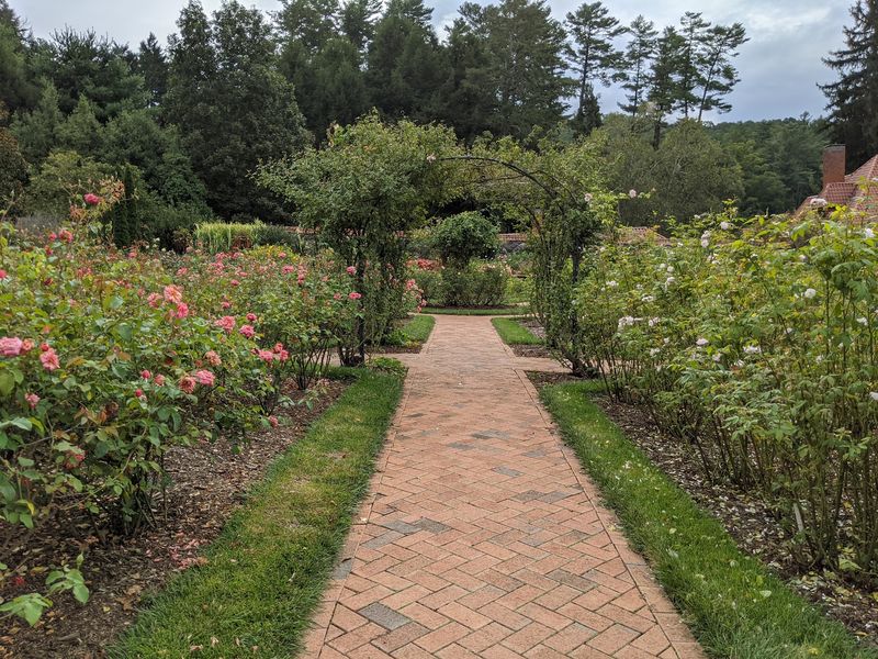 World Roses In One Garden World Roses In One Garden