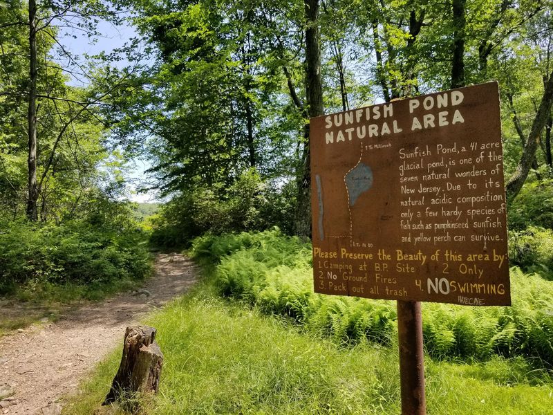 Worthington State Forest Feels Worlds Away From New Jersey Worthington State Forest Feels Worlds Away From New Jersey