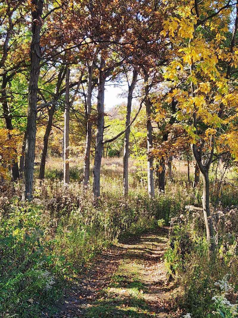 Trails, Pull-Offs, and the Art of Looking Closely
