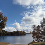 You Can Swim in the Same Tennessee Water Used to Make Jack Daniel's Whiskey