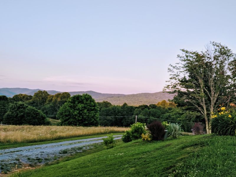 Mountain Streams Stay Cold Enough for Trout All Summer