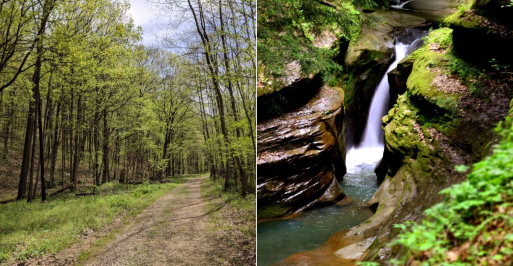 A Secluded Ohio Path Takes You To One Of The State’s Dreamiest Nature Scenes