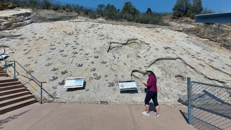 Footprints in Stone, Not Just Museum Labels
