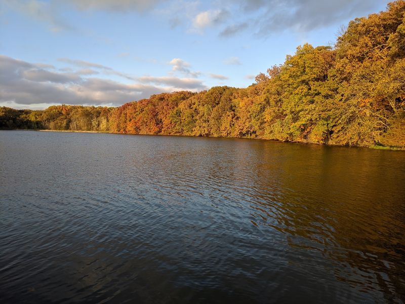 Where the Woods Open and the Lake Takes Over Where the Woods Open and the Lake Takes Over