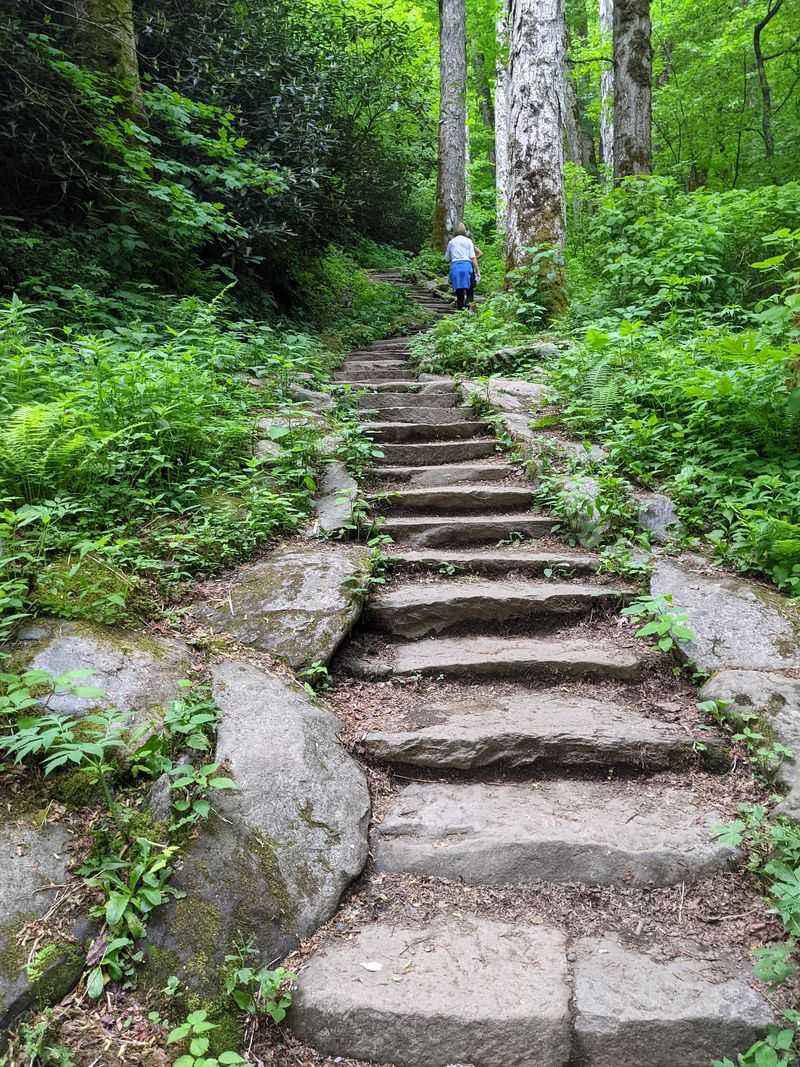 Chimney Tops Trail