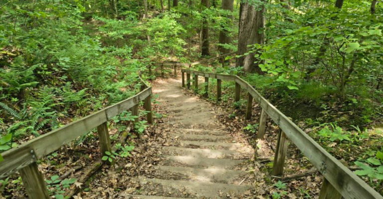 Before Exploring These 13 Wooded Michigan Destinations, Check The Tick Map