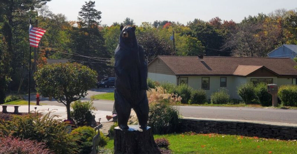 Black Bear Encounters Have Made This Small Upstate New York Town Famous