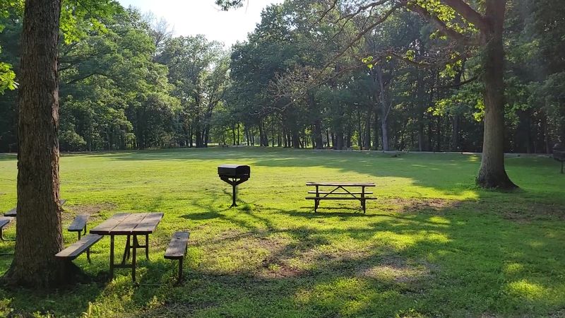 Camping With Owls, Fire Pits, and Real Quiet Camping With Owls, Fire Pits, and Real Quiet