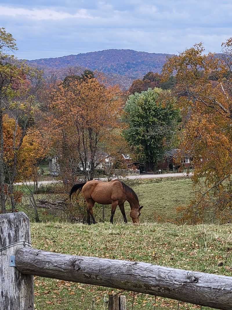 Evening Temperatures Drop to Sweater Weather