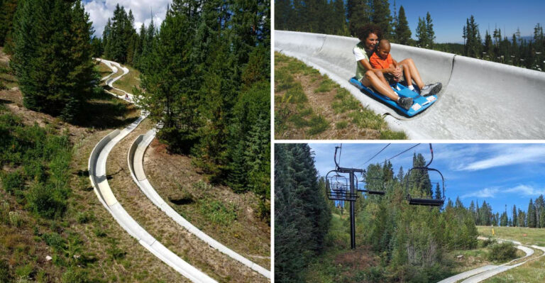 Colorado’s Longest Alpine Slide Sends Riders Racing Down 3,000 Feet of Track
