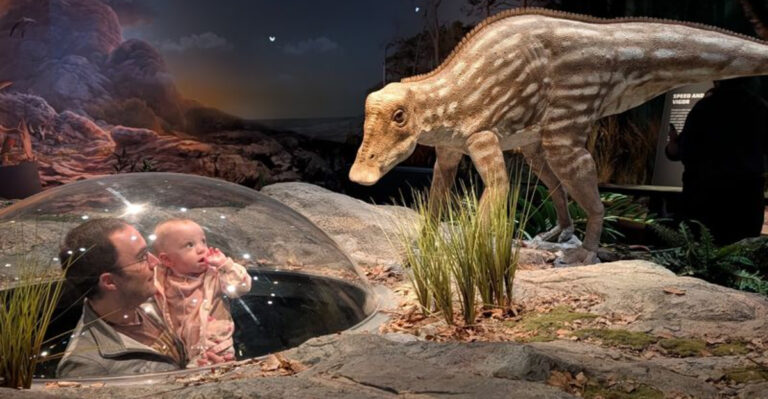 Dig Up a 66-Million-Year-Old Fossil at This New Jersey Park
