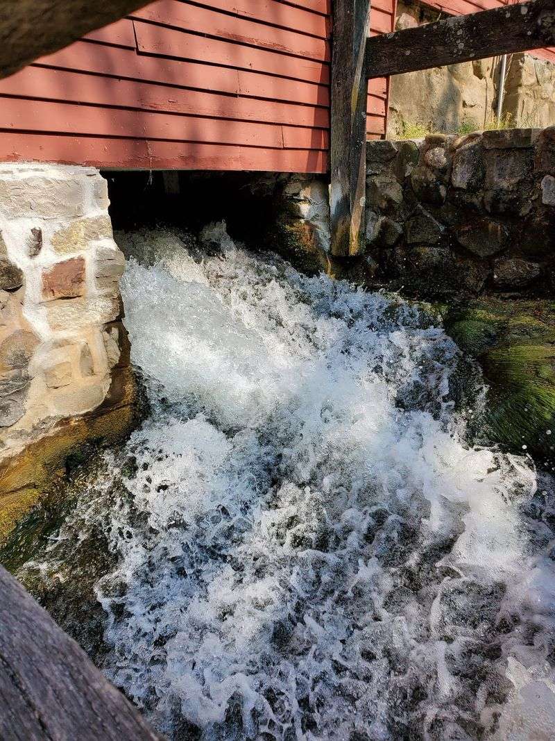 Timing Your Visit for the Best Mill Action Timing Your Visit for the Best Mill Action
