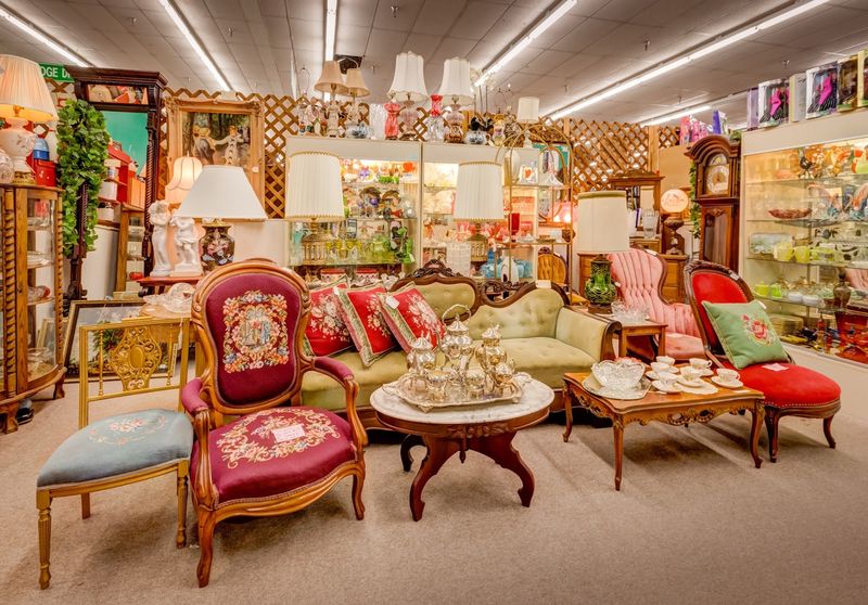 Packed Shelves, Sharp Eyes, And Better Finds Packed Shelves, Sharp Eyes, And Better Finds