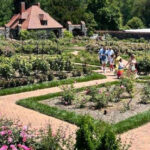 Experience The Beauty Of 2,000 Roses At This Stunning North Carolina Estate Garden