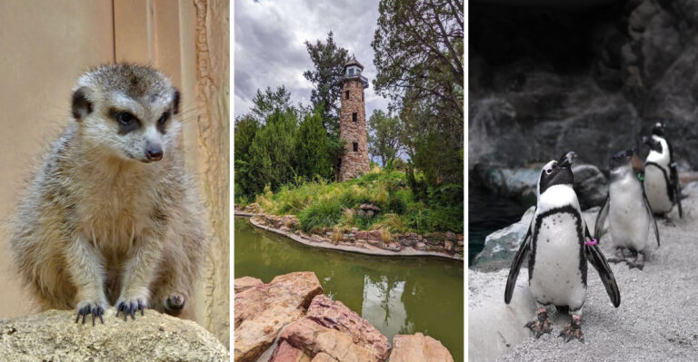 Explore This Underrated Colorado Zoo Before Everyone Else Finds It