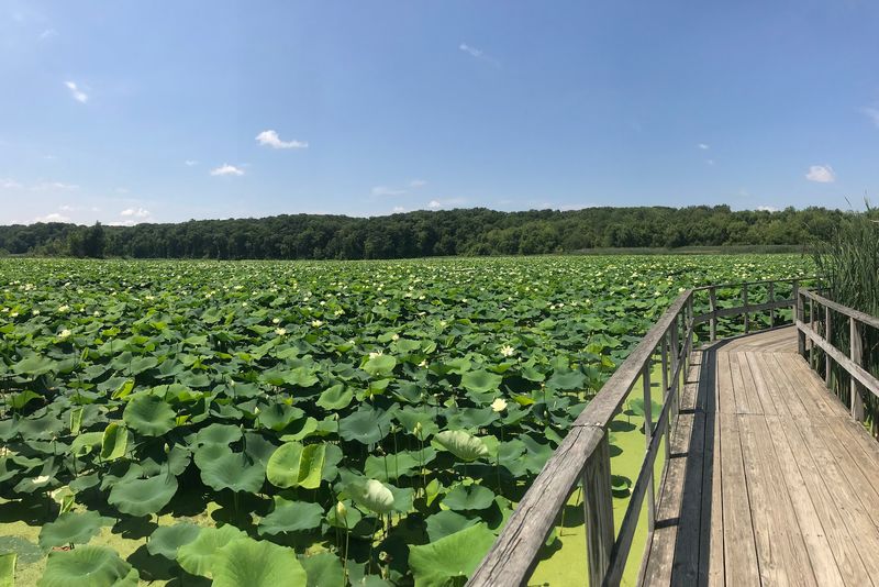 A Boardwalk That Puts You Right Over the Water