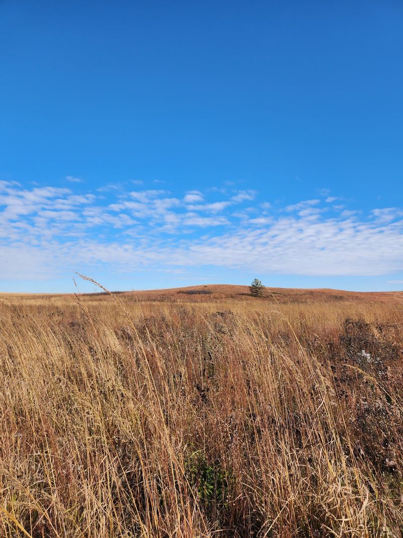 Where the Prairie Suddenly Opens Up