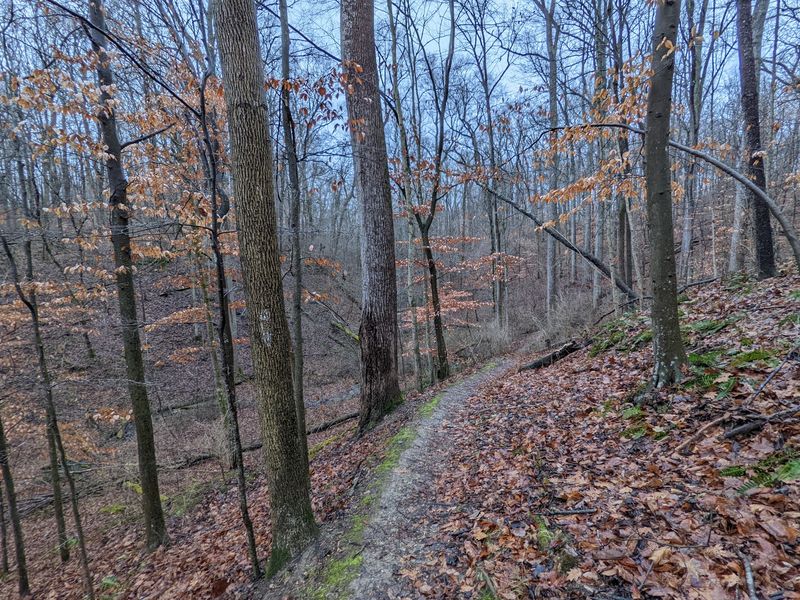 Red Springs Loop - Whitewater Memorial State Park, Liberty Red Springs Loop - Whitewater Memorial State Park, Liberty