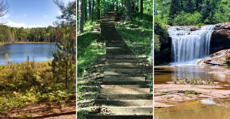 Get Lost in the Beauty of These 5 Michigan National Forest Trails