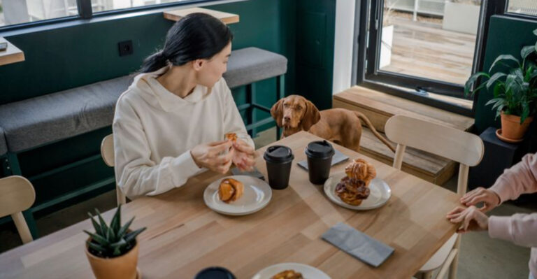 Good Food, Great Patios, Happy Pups: 12 Dog-Friendly NJ Restaurants