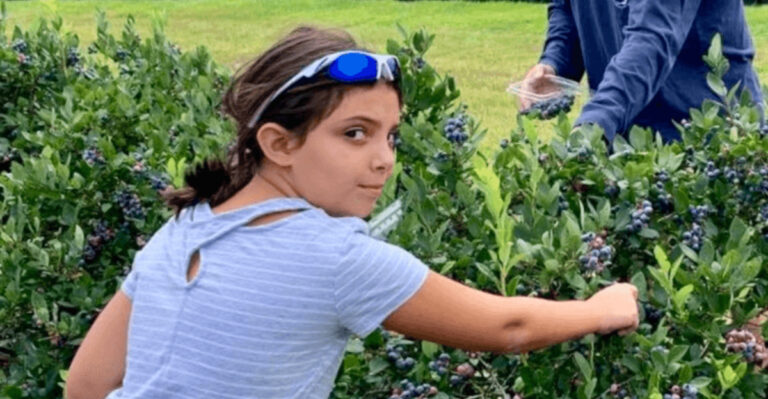 Grab a Basket and Pick $2.50 Pints of Organic Blueberries at This New Jersey Farm