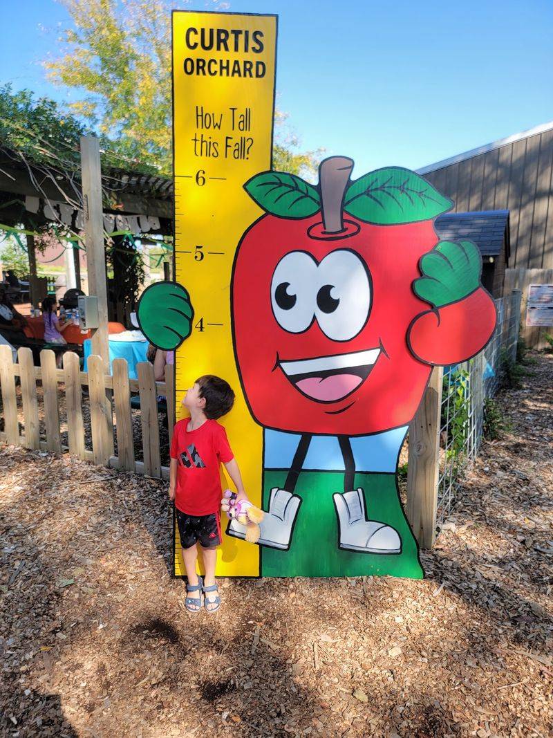 Curtis Orchard & Pumpkin Patch (Champaign)