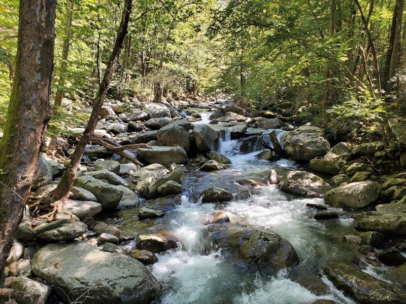 Ramsey Cascades Trail