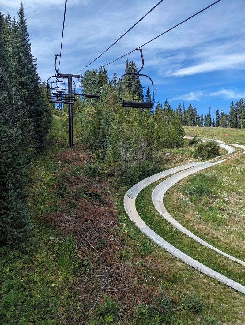 Why This Slide Still Stands Out on a Colorado Summer Trip