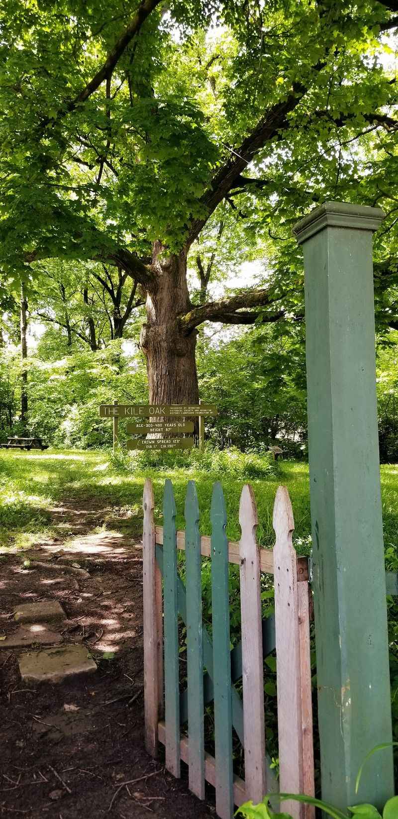 Small Park, Big Presence Small Park, Big Presence