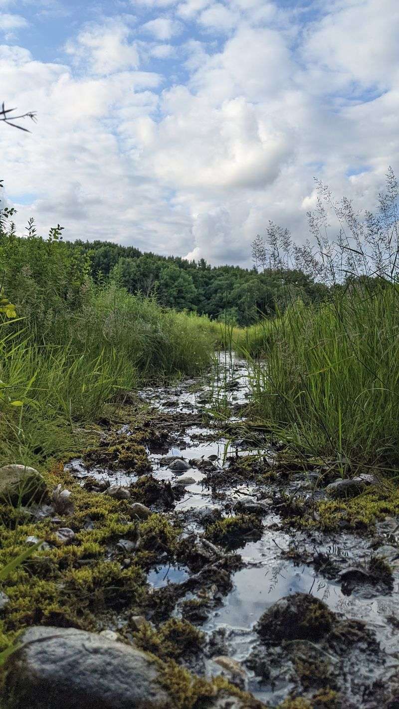 Small Preserve, Big Payoff