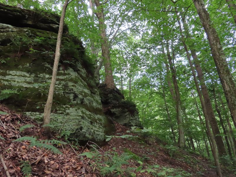 Fern Cliff Nature Preserve Fern Cliff Nature Preserve