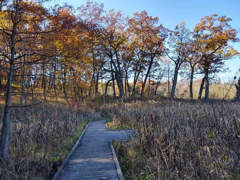 Boardwalk Miles Are Not Required Here